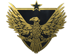 Brigadier General Pin image